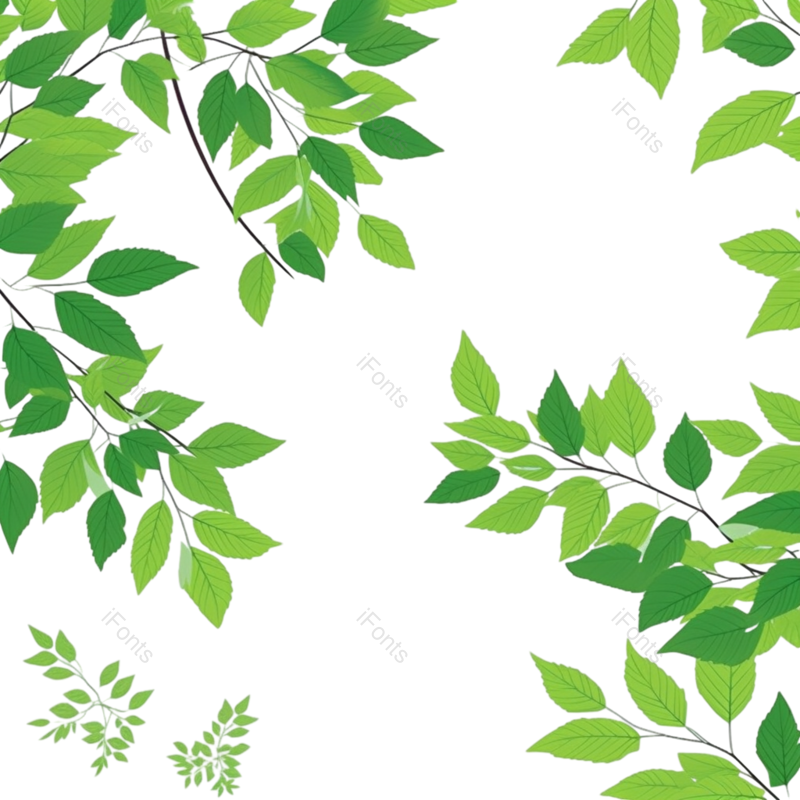 叶子图片,插画元素,绿叶PNG,绿叶边框免抠素材